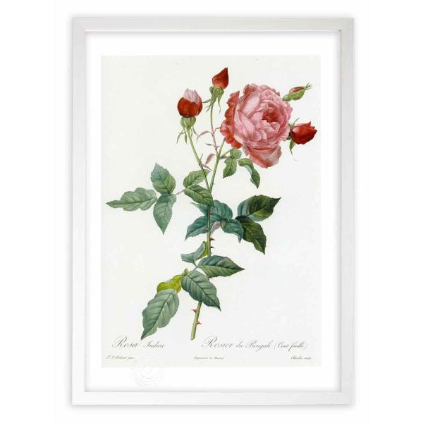 ŉ G惍TECfBJ hD[e CeA Ǌ|  A G A[g A[gpl rO  v[g _ 