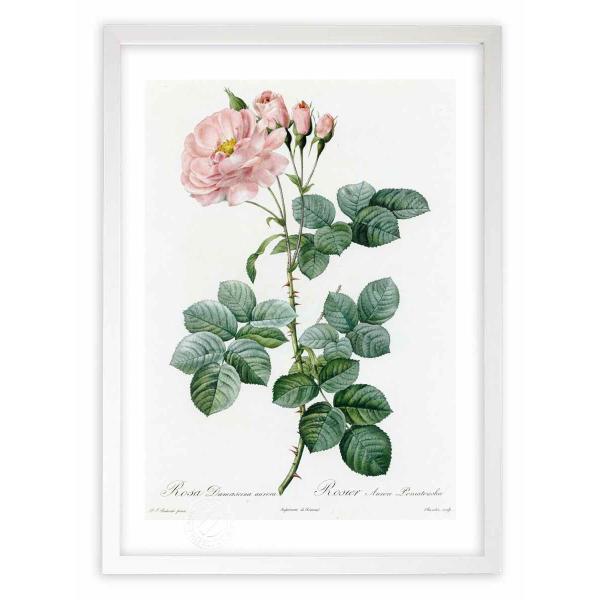 ŉ G惍TE_}XPiEAE hD[e CeA Ǌ|  A G A[g A[gpl rO  v[g _ 