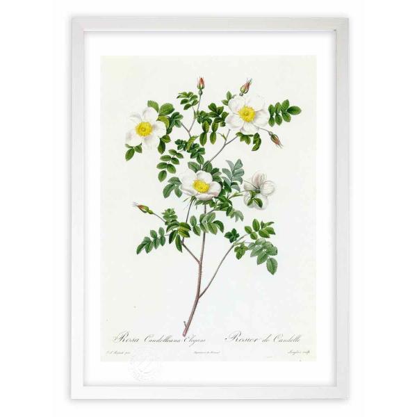 ŉ G惍TEJhAiEGKX hD[e CeA Ǌ|  A G A[g A[gpl rO  v[g _ 