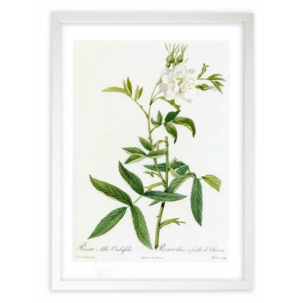 ŉ G惍TEAoELoGtHA hD[e CeA Ǌ|  A G A[g A[gpl rO  v[g _ 