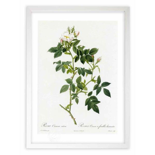 ŉ G惍TEJj[iEjeX hD[e CeA Ǌ|  A G A[g A[gpl rO  v[g _ 