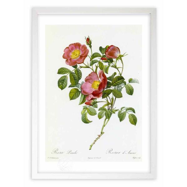 ŉ G惍TEv~ hD[e CeA Ǌ|  A G A[g A[gpl rO  v[g _ 