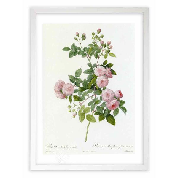 ŉ G惍TEeBt[EJlA hD[e CeA Ǌ|  A G A[g A[gpl rO  v[g _ 