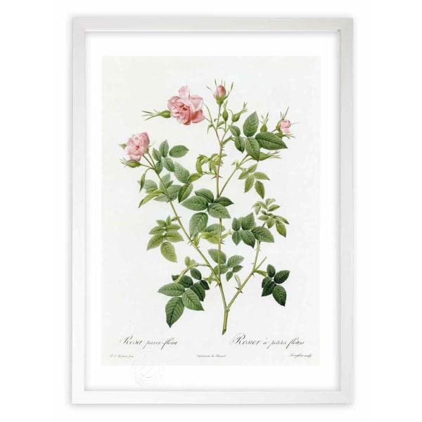 ŉ G惍TEpEBt[ hD[e CeA Ǌ|  A G A[g A[gpl rO  v[g _ 