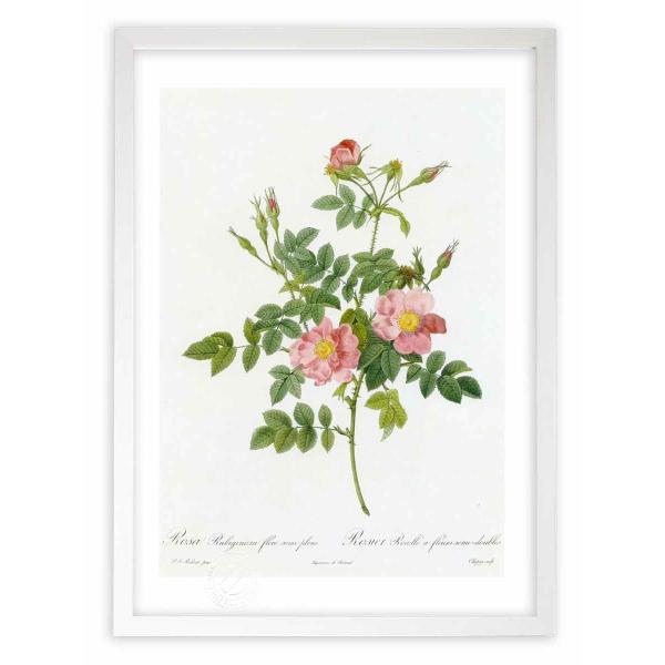 ŉ G惍TErMm[TEt[EZ~vm hD[e CeA Ǌ|  A G A[g A[gpl rO  v[g _ 