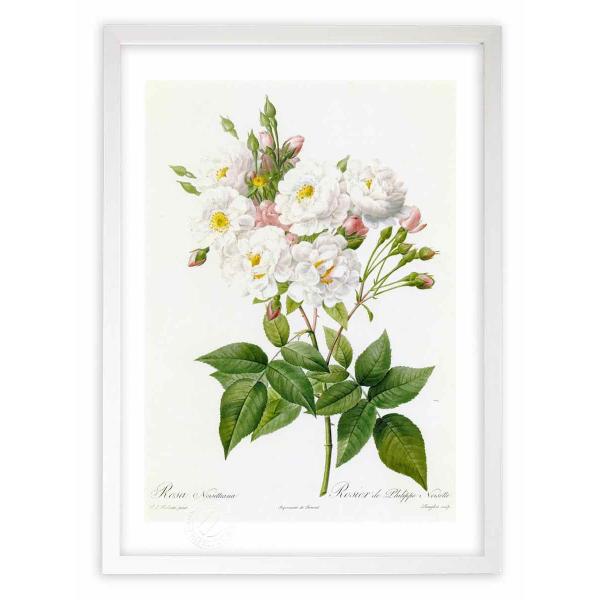 ŉ G惍TEm[beBA[i hD[e CeA Ǌ|  A G A[g A[gpl rO  v[g _ 