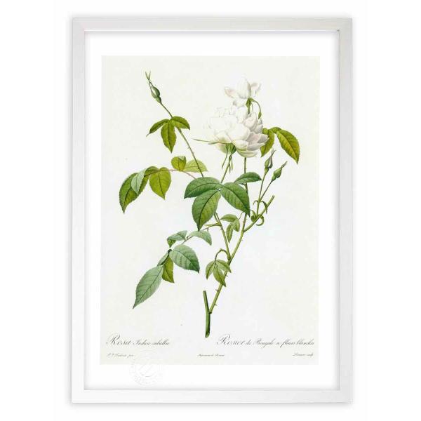 ŉ G惍TECfBJEXoo hD[e CeA Ǌ|  A G A[g A[gpl rO  v[g _ 