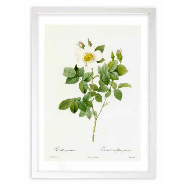 ŉ G惍TEQ~i[^ hD[e CeA Ǌ|  A G A[g A[gpl rO  v[g _ 