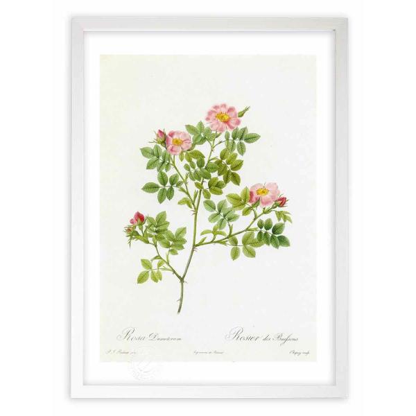 ŉ G惍TEhDg hD[e CeA Ǌ|  A G A[g A[gpl rO  v[g _ 