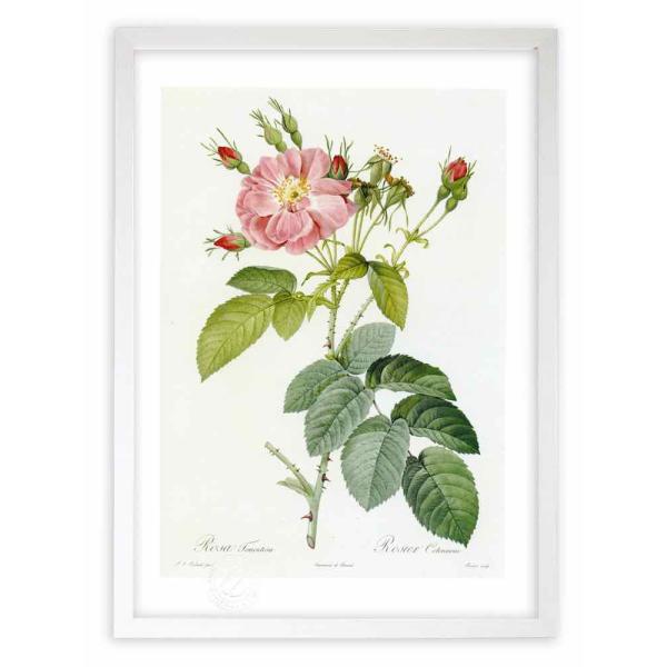 ŉ G惍TEgg[T hD[e CeA Ǌ|  A G A[g A[gpl rO  v[g _ 