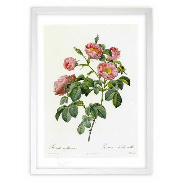 ŉ G惍TEbV} hD[e CeA Ǌ|  A G A[g A[gpl rO  v[g _ 