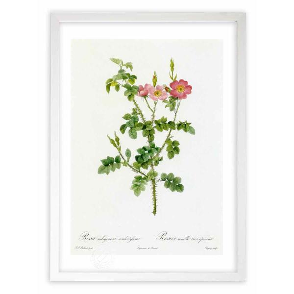 ŉ G惍TErMm[TEANAeBbV} hD[e CeA Ǌ|  A G A[g A[gpl rO  v[g _ 