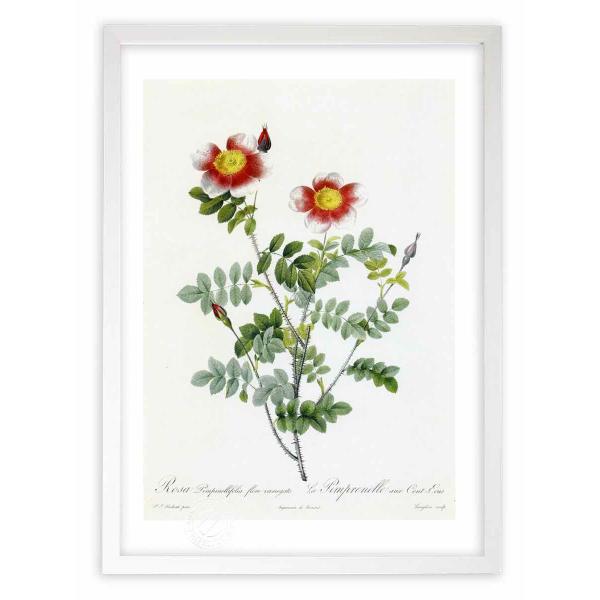 ŉ G惍TEssltHAEt[EE@GK[g hD[e CeA Ǌ|  A A[gpl rO  v[g _ 