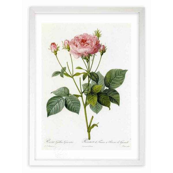 ŉ G惍TEKJEOigDX hD[e CeA Ǌ|  A G A[g A[gpl rO  v[g _ 