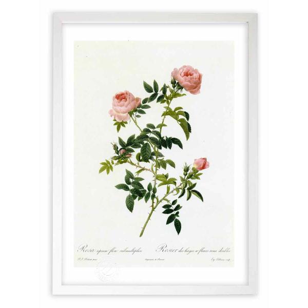 ŉ G惍TEZsEEt[EXueBvL hD[e CeA Ǌ|  A G A[gpl rO  v[g _ 