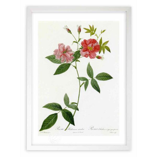 ŉ G惍TEnh\jA[^EXJfX hD[e CeA Ǌ|  A G A[g A[gpl rO  v[g _ 