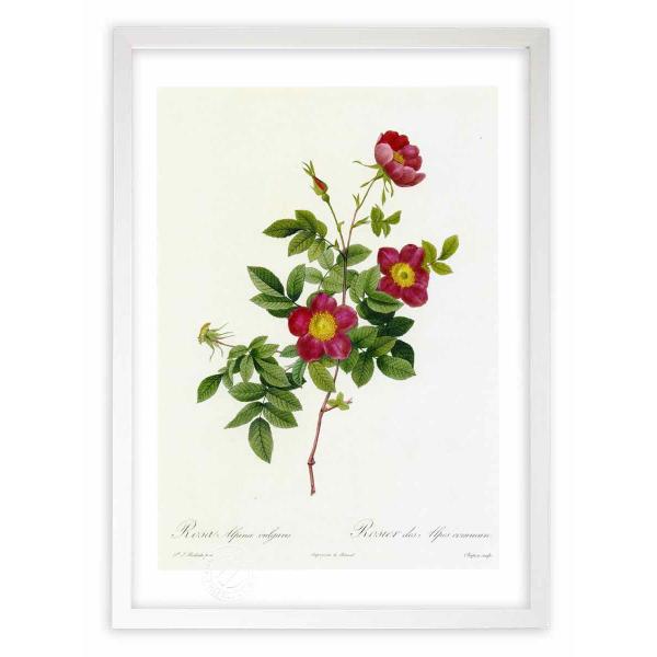 ŉ G惍TEAsiEEK[X hD[e CeA Ǌ|  A G A[g A[gpl rO  v[g _ 