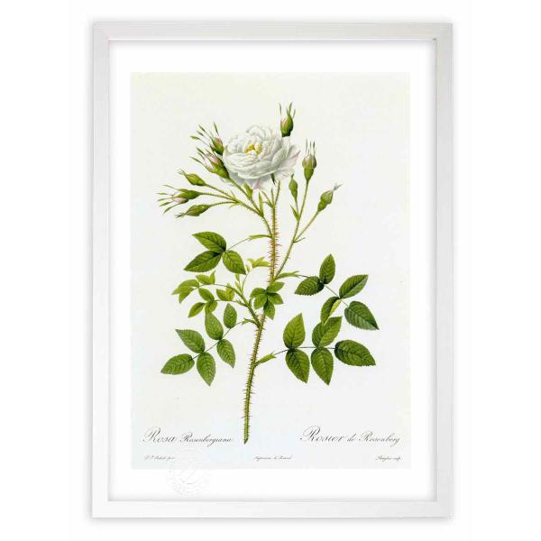 ŉ G惍TE[ZxMA[i hD[e CeA Ǌ|  A G A[g A[gpl rO  v[g _ 