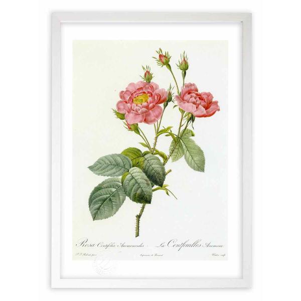 ŉ G惍TEPeBtHAEAlmCfX hD[e CeA Ǌ|  A G A[g A[gpl rO  v[g _ 