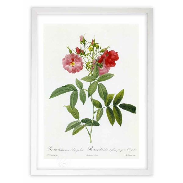 ŉ G惍TEnh\jA[iEXuR{[T hD[e CeA Ǌ|  A G A[g A[gpl rO  v[g _ 