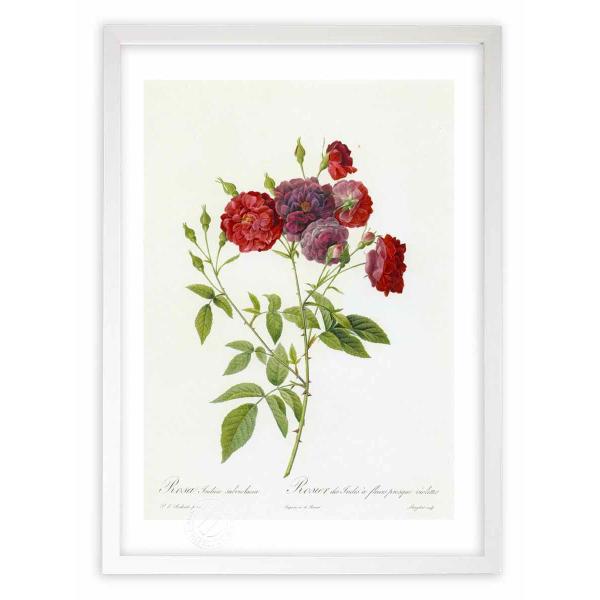 ŉ G惍TECfBJEXuEBIPA hD[e CeA Ǌ|  A G A[g A[gpl rO  v[g _ 