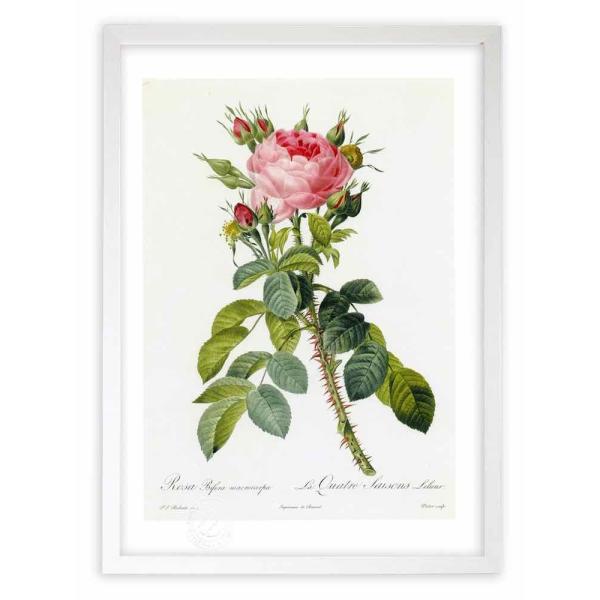 ŉ G惍TErtFE}NJp hD[e CeA Ǌ|  A G A[g A[gpl rO  v[g _ 