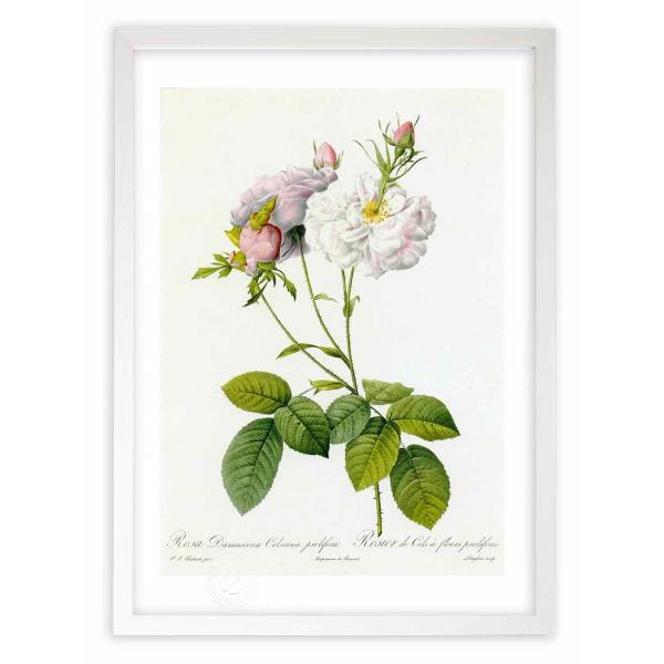 ŉ G惍TE_}XPiEPVA[iEvtF hD[e CeA Ǌ|  A G A[gpl rO  v[g _ 