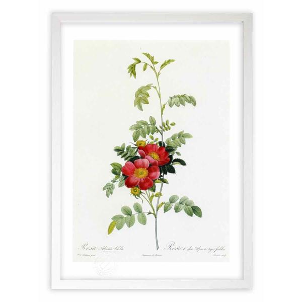 ŉ G惍TEAsiEfrX hD[e CeA Ǌ|  A G A[g A[gpl rO  v[g _ 