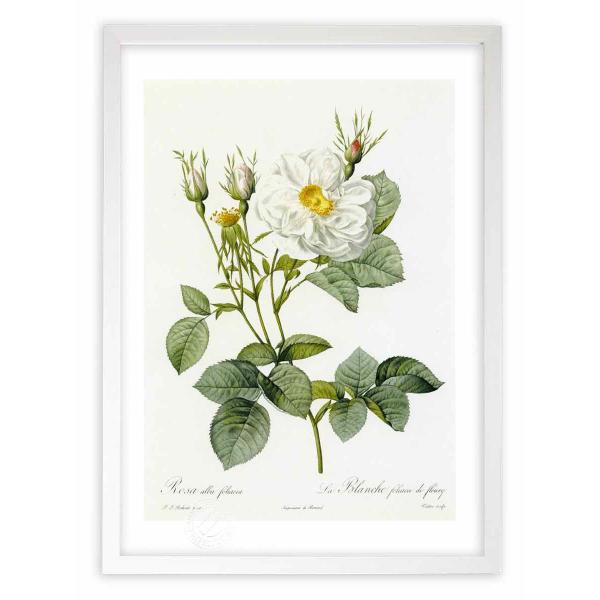 ŉ G惍TEAoEtHAPA hD[e CeA Ǌ|  A G A[g A[gpl rO  v[g _ 