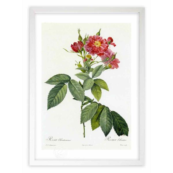 ŉ G惍TEeBG[lA hD[e CeA Ǌ|  A G A[g A[gpl rO  v[g _ 