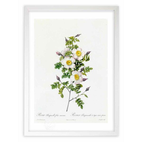 ŉ G惍TEssltHAECl~X hD[e CeA Ǌ|  A G A[g A[gpl rO  v[g _ 