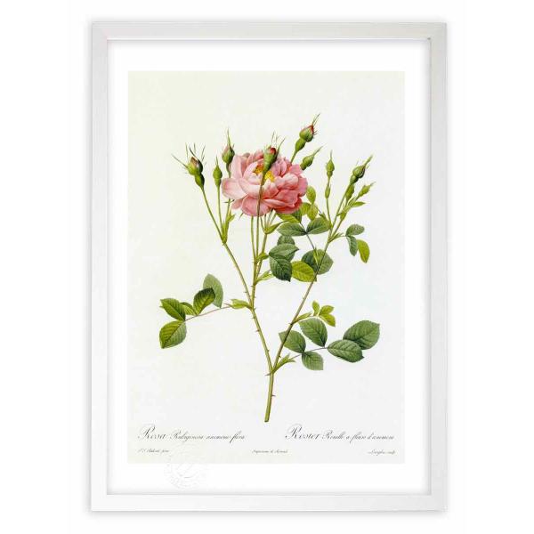 ŉ G惍TErMm[TEAllt[ hD[e CeA Ǌ|  A G A[g A[gpl rO  v[g _ 