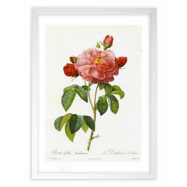 ŉ G惍TEKJEAEAlVX hD[e CeA Ǌ|  A G A[g A[gpl rO  v[g _ 