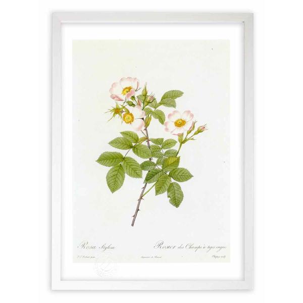 ŉ G惍TEXeB[T hD[e CeA Ǌ|  A G A[g A[gpl rO  v[g _ 