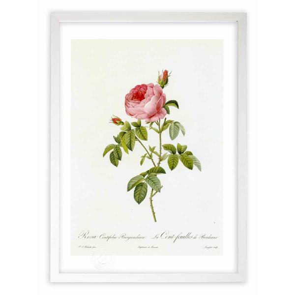 ŉ G惍TEPeBtHAEuOfBAJ hD[e CeA Ǌ|  A G A[g A[gpl rO  v[g _ 