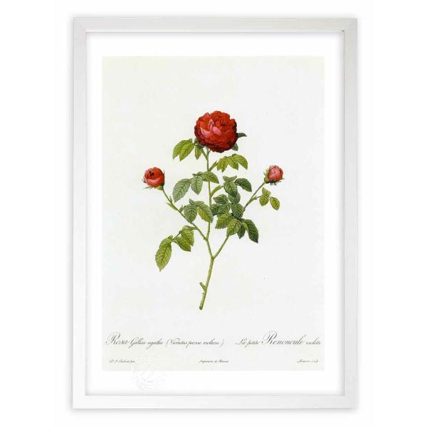 ŉ G惍TEKJEAK^ hD[e CeA Ǌ|  A G A[g A[gpl rO  v[g _ 