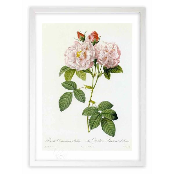 ŉ G惍TE_}XPiEC^J hD[e CeA Ǌ|  A G A[g A[gpl rO  v[g _ 