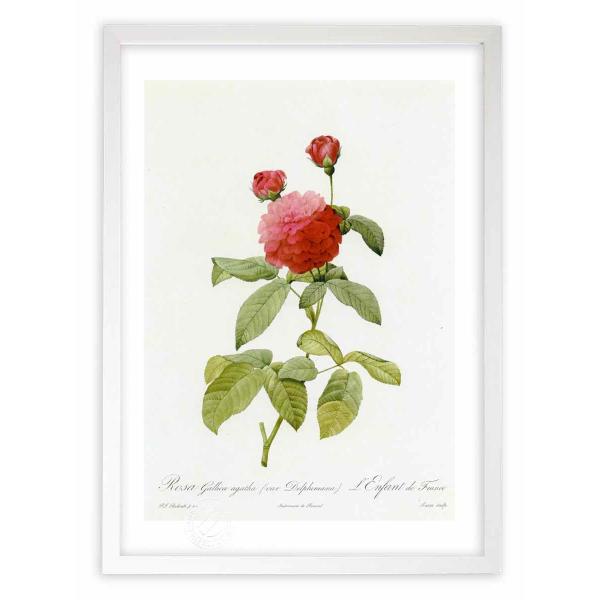 ŉ G惍TEKJEAK^ hD[e CeA Ǌ|  A G A[g A[gpl rO  v[g _ 