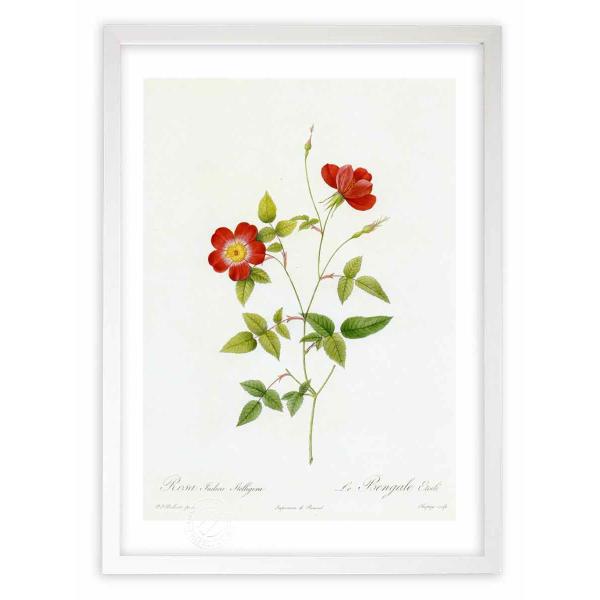 ŉ G惍TECfBJEXeQ hD[e CeA Ǌ|  A G A[g A[gpl rO  v[g _ 