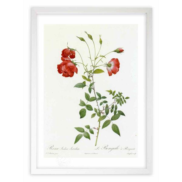 ŉ G惍TECfBJEZgD[^ hD[e CeA Ǌ|  A G A[g A[gpl rO  v[g _ 