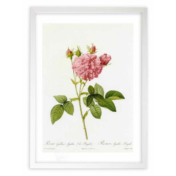 ŉ G惍TEKJEAK^ hD[e CeA Ǌ|  A G A[g A[gpl rO  v[g _ 