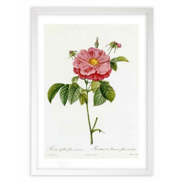 ŉ G惍TEKJEt[E}I hD[e CeA Ǌ|  A G A[g A[gpl rO  v[g _ 