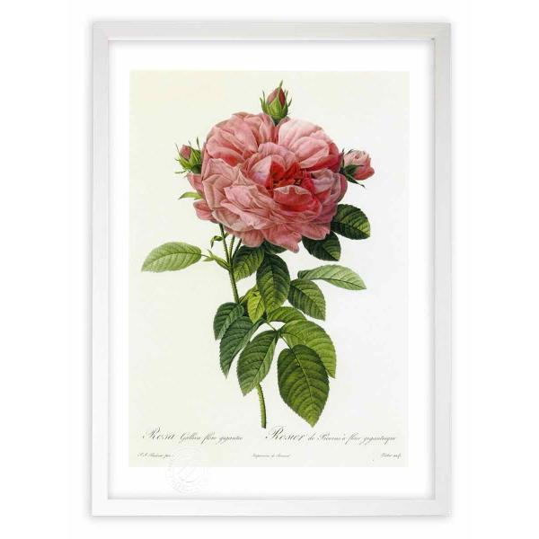 ŉ G惍TEKJEt[EMKeI hD[e CeA Ǌ|  A G A[g A[gpl rO  v[g _ 