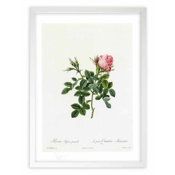 ŉ G惍TErtFEv~ hD[e CeA Ǌ|  A G A[g A[gpl rO  v[g _ 