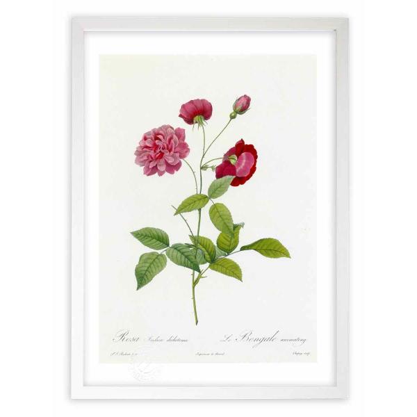 ŉ G惍TECfBJEfBRg} hD[e CeA Ǌ|  A G A[g A[gpl rO  v[g _ 