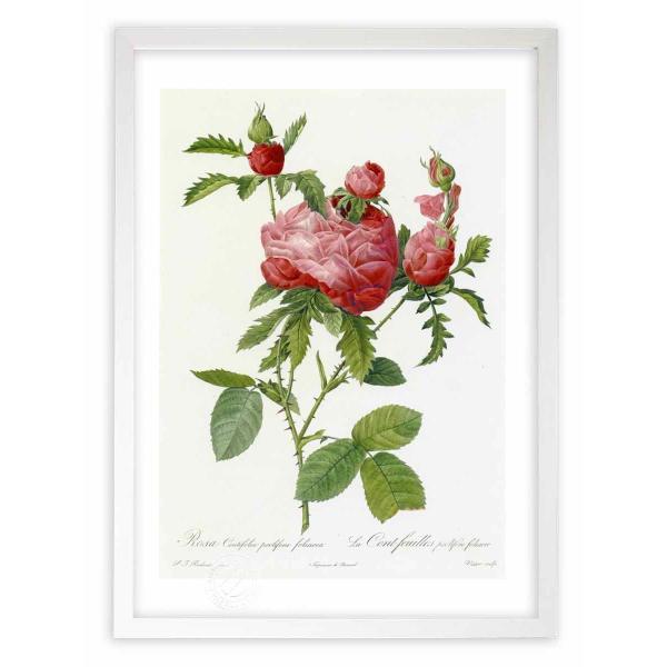 ŉ G惍TEPeBtHAEvtFEtHAPA hD[e CeA Ǌ|  A A[gpl rO  v[g _ 