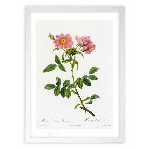 ŉ G惍TERiE\jA[i hD[e CeA Ǌ|  A G A[g A[gpl rO  v[g _ 