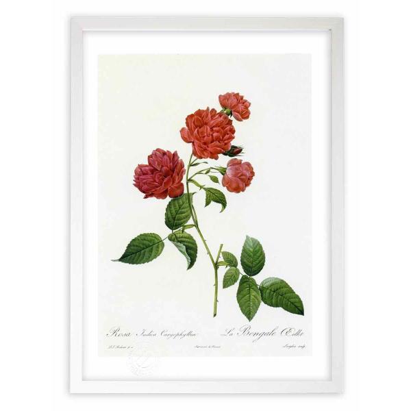 ŉ G惍TECfBJEJItBA hD[e CeA Ǌ|  A G A[g A[gpl rO  v[g _ 