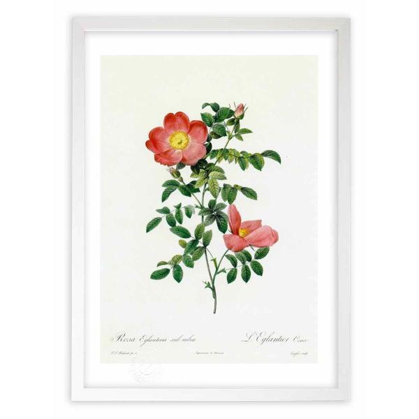 ŉ G惍TEGOeAEXuu hD[e CeA Ǌ|  A G A[g A[gpl rO  v[g _ 