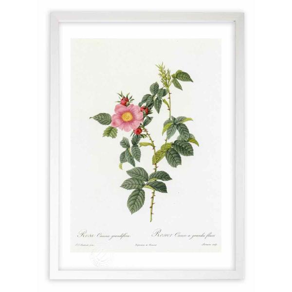 ŉ G惍TEJj[iEOfBt[ hD[e CeA Ǌ|  A G A[g A[gpl rO  v[g _ 